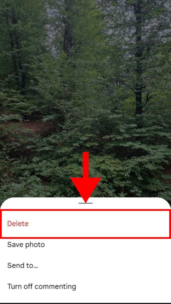 Delete archive story