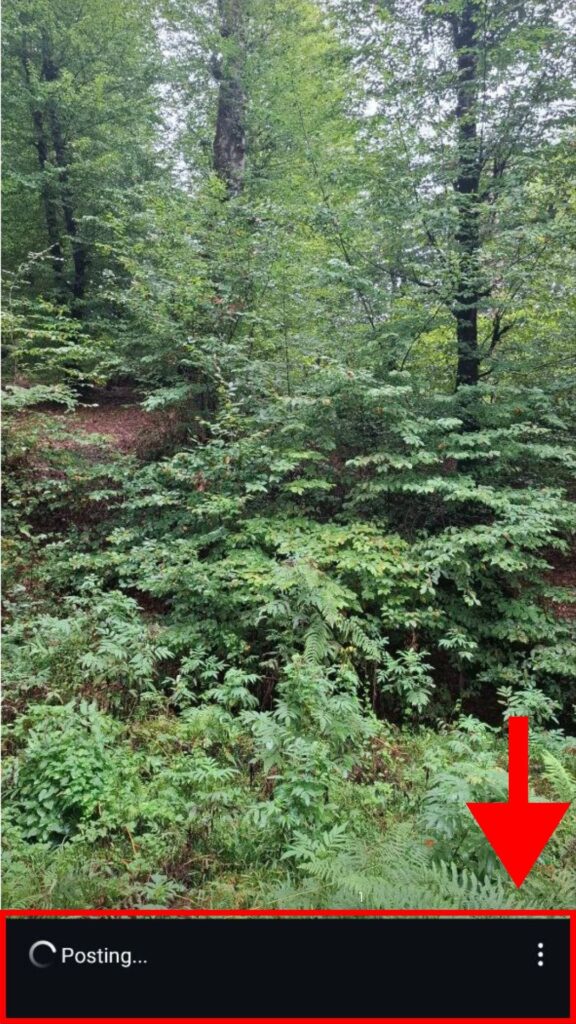 Tap three dots to delete 