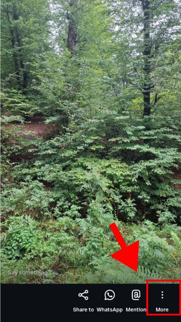 Tap more to delete your story