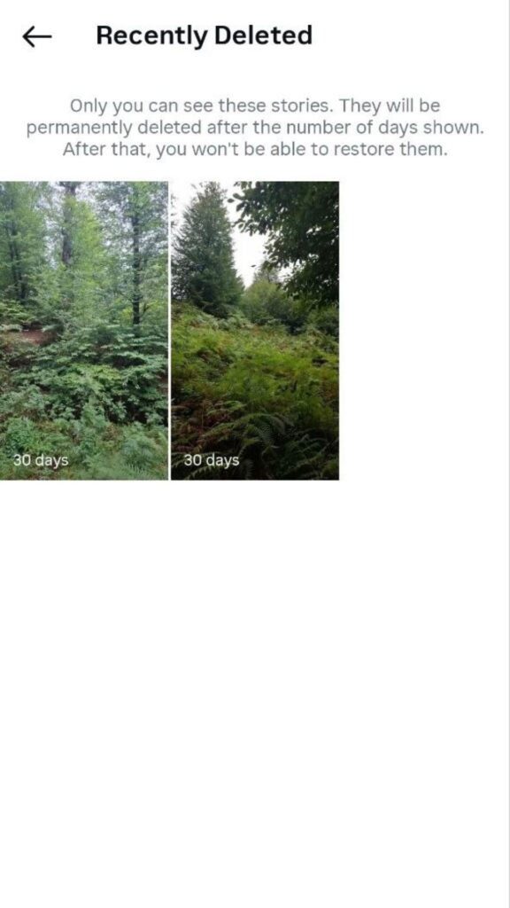 choose Stories to see deleted Stories