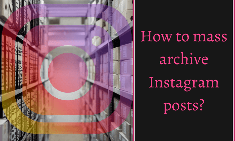 Instagram mass archive