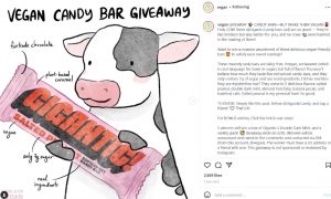 example of instagram giveaway caption