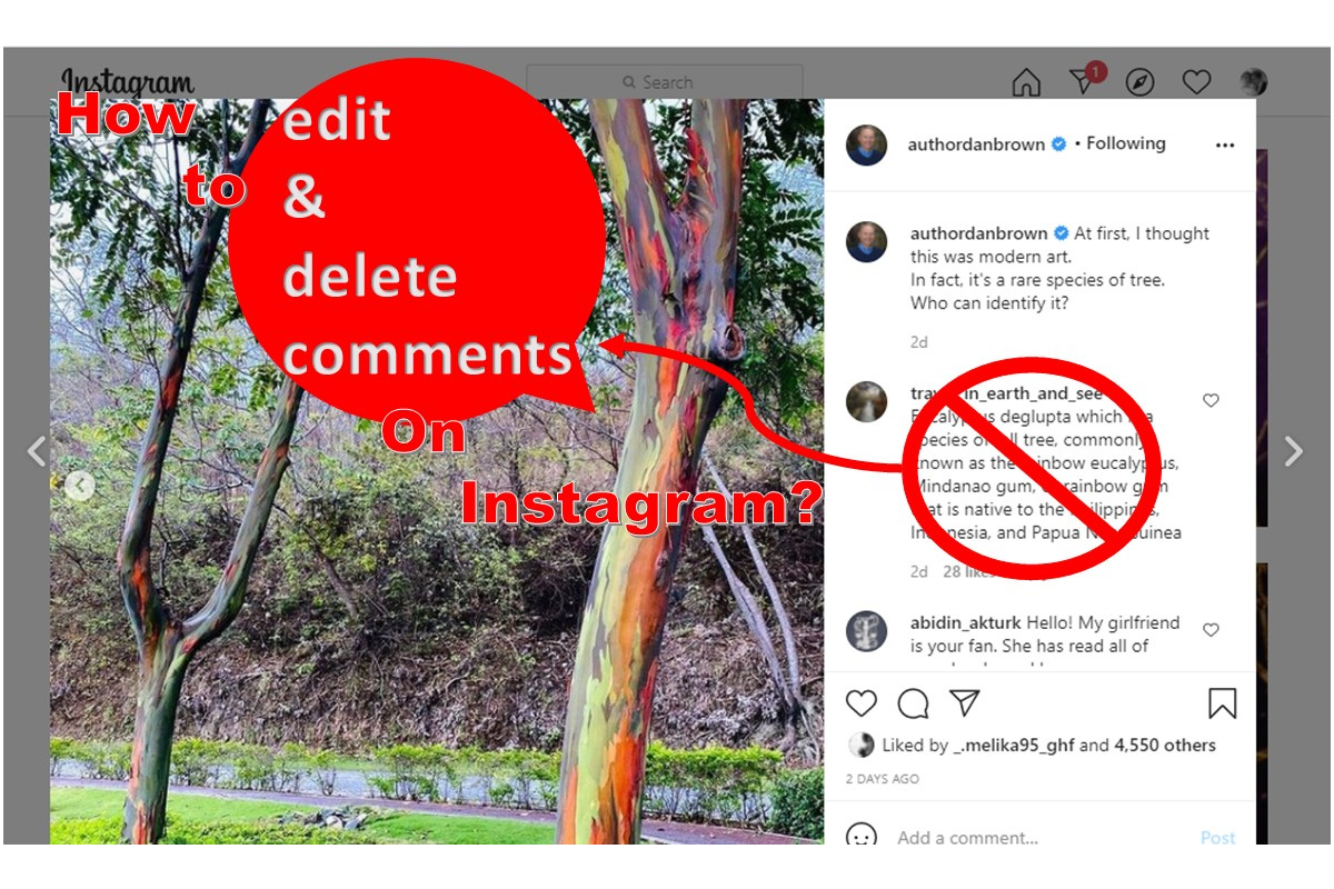 How to edit and delete comments on Instagram? Full guide - AiSchedul