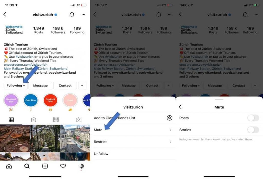 Instagram Profile> Following> Mute> Posts/Stories