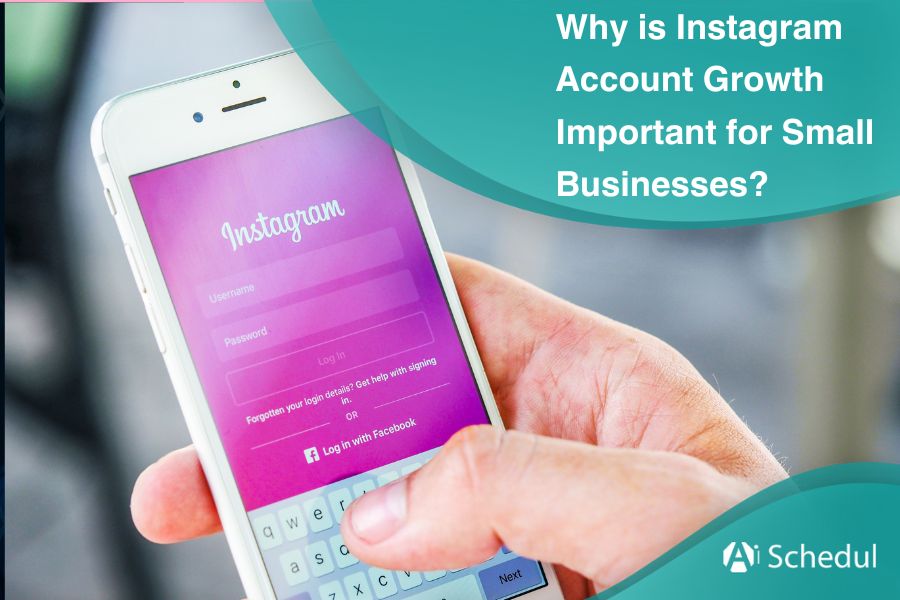 Why is Instagram Account Growth Important for Small Businesses Best 2024 Guide