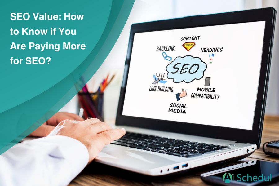 SEO Value: How to Know if You Are Paying More for SEO? 2024 Update