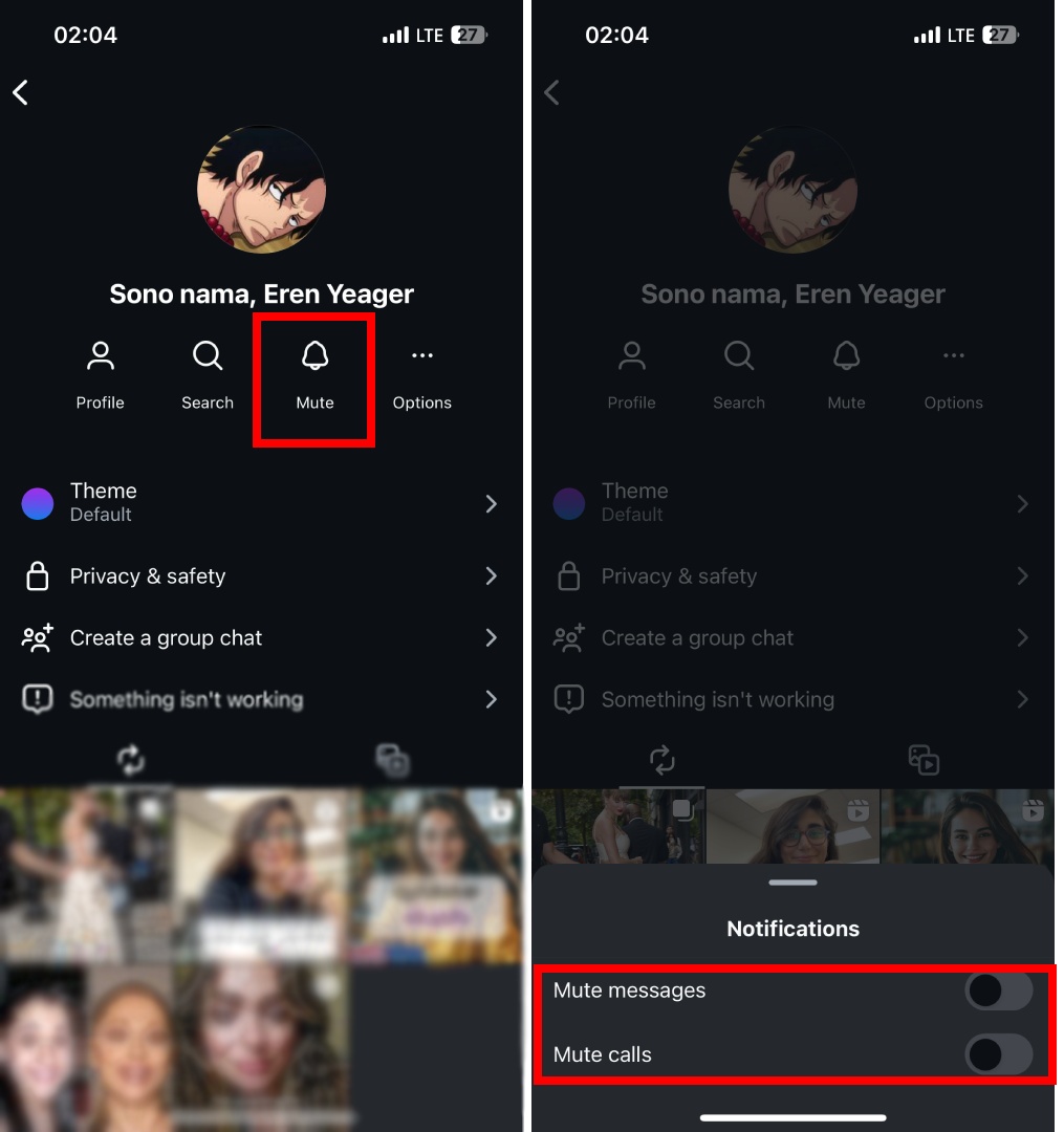 Mute a call or DM Instagram Story