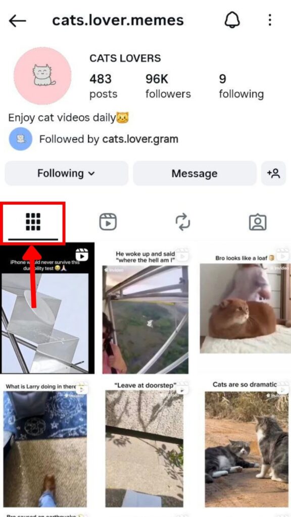 Posts in Grid Mode
