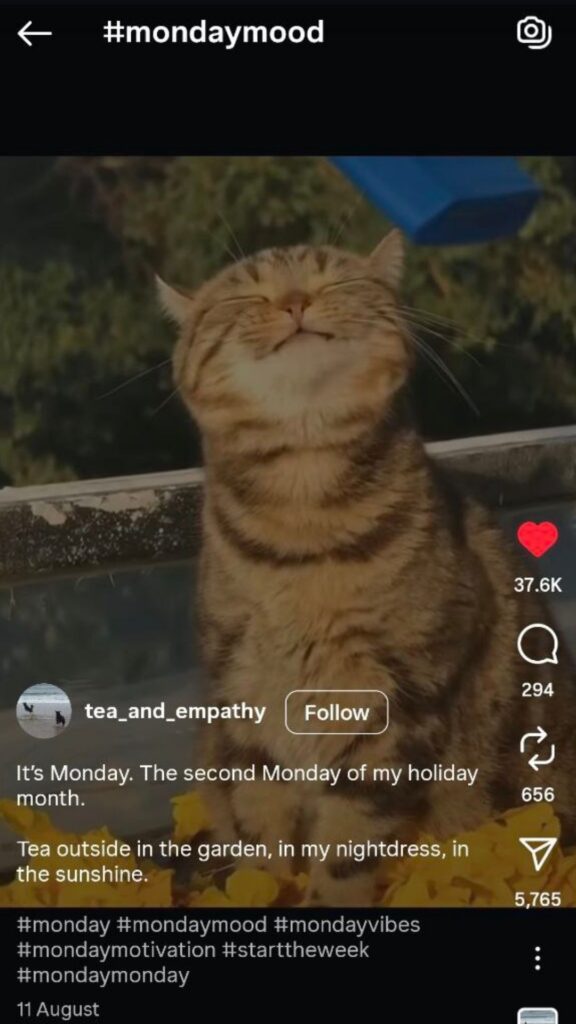 Daily Hashtags on Instagram