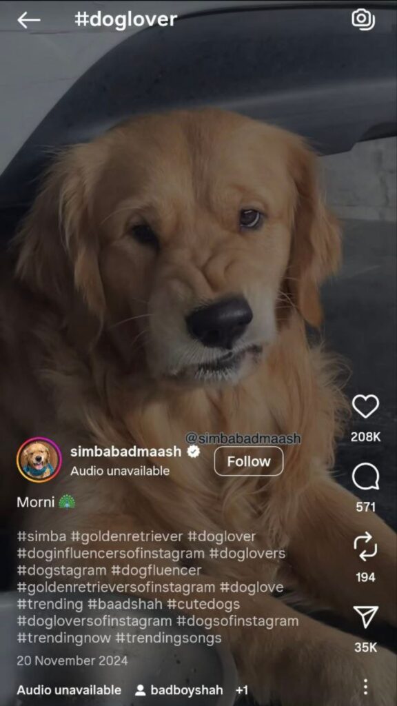Dog hashtags on Instagram