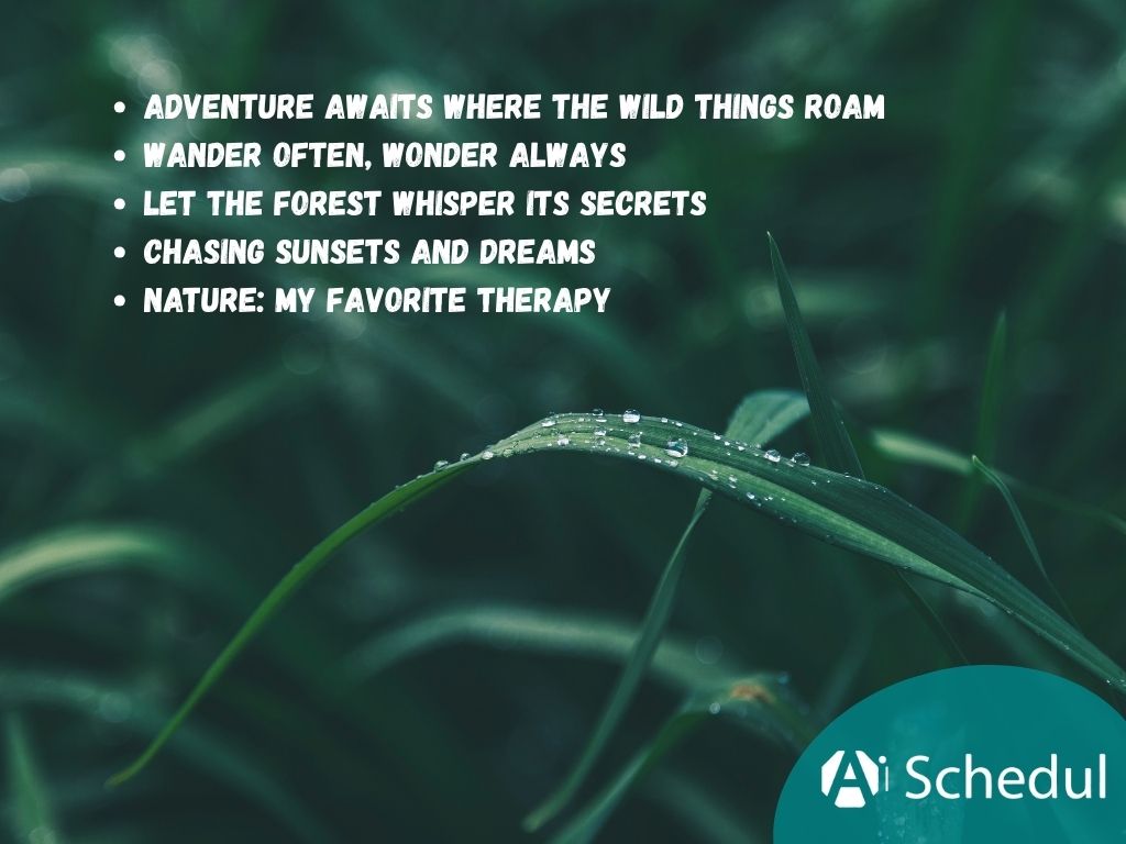 Top Short Nature Captions for Instagram
