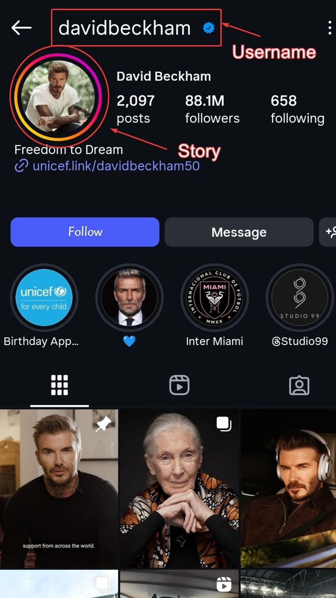 Instagram Username or Story Link