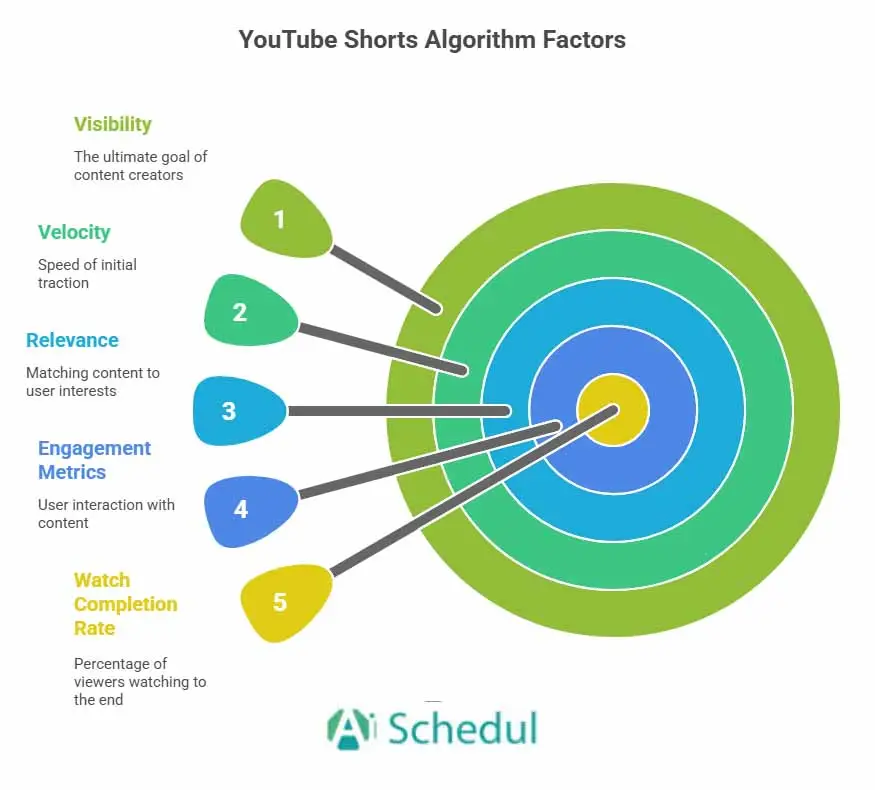 undestanding YouTube Shorts algorithm in an infographic
